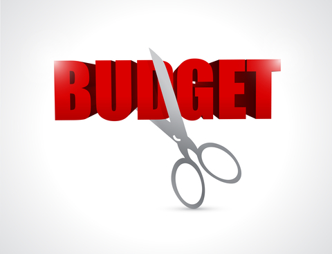 budget cut